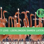 Quizlet Live: leerlingen samen laten leren